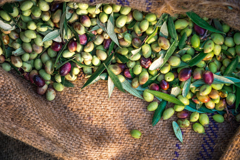 L’olio tra valore e prezzo