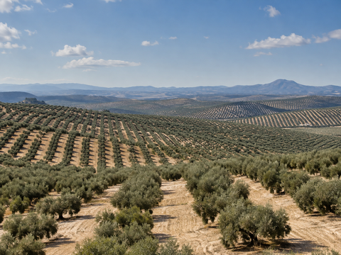 Spagna